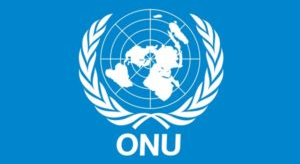Organisation des Nations unies